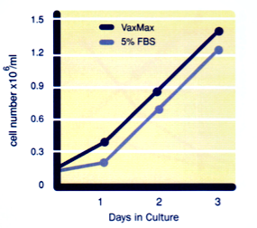 African Green Monkey Kidney
