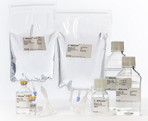 2-8CELLsius + DSMO